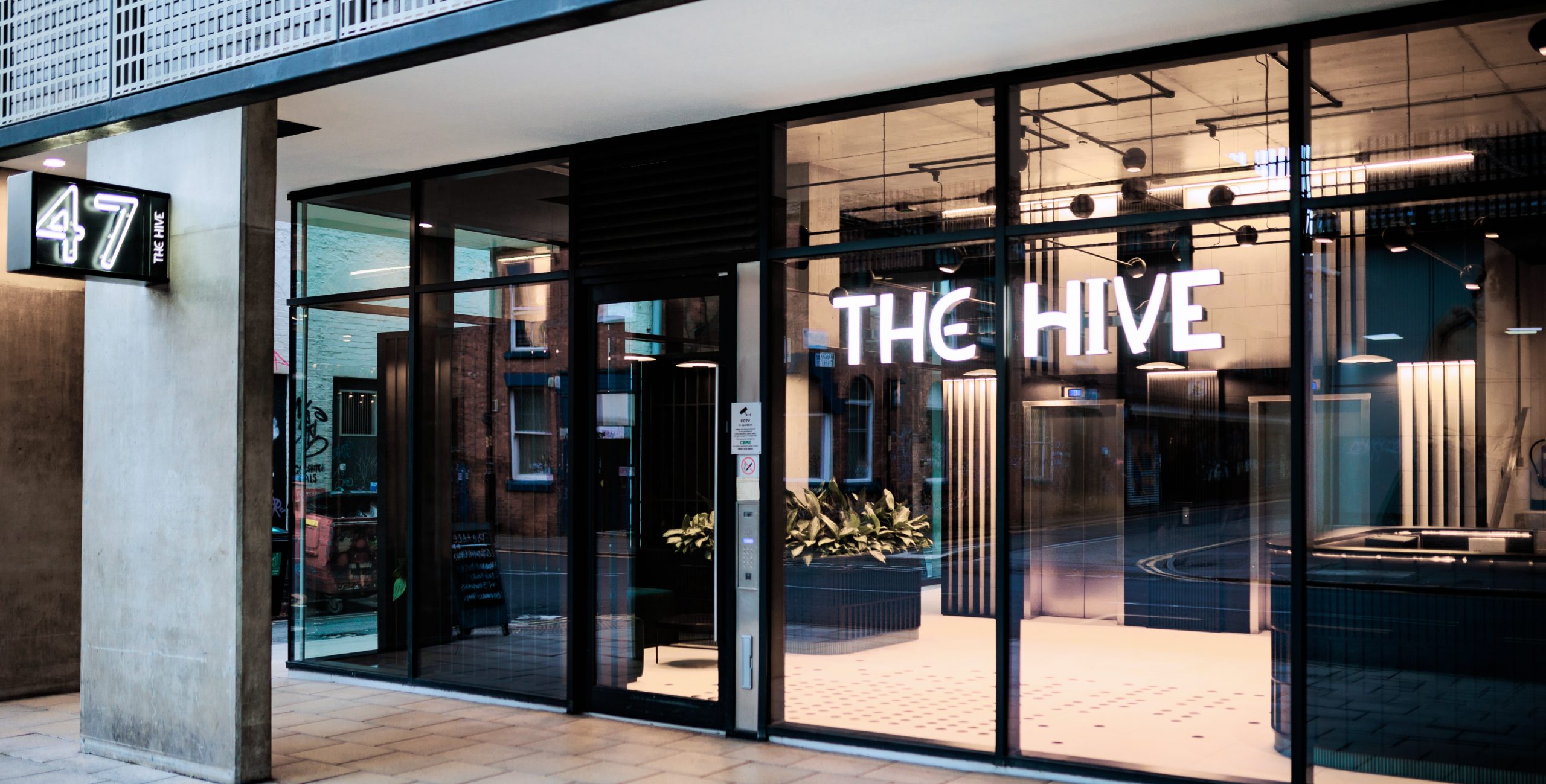 The Hive