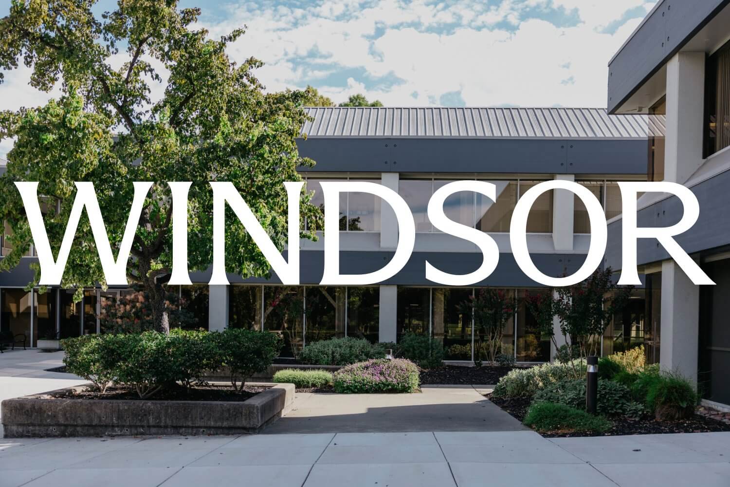 Windsor